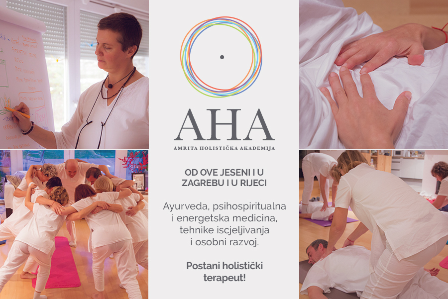 AHA Akademija